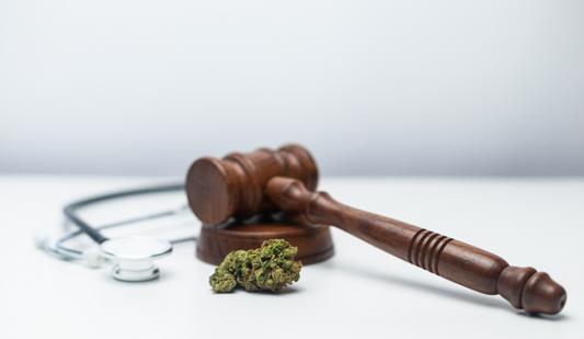 Cannabis on the ballot - PhenomWell CBD Store