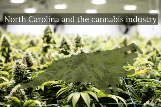 Changes probably coming to cannabis industry in North Carolina - PhenomWell CBD Store