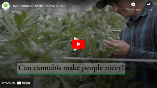 Can cannabis make people nicer? - PhenomWell CBD Store